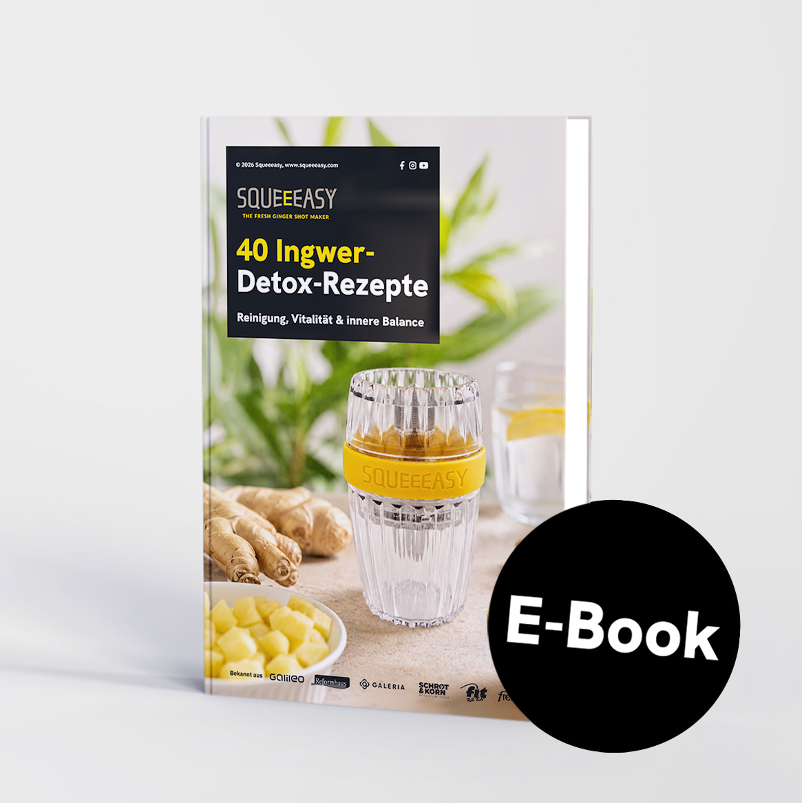 40 Ingwer-Detox-Rezepte: Reinigung, Vitalität & innere Balance